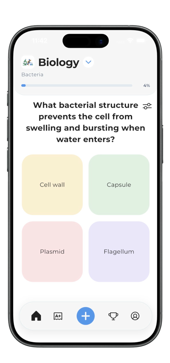 Studytok mobile app showing a scrollable study feed
